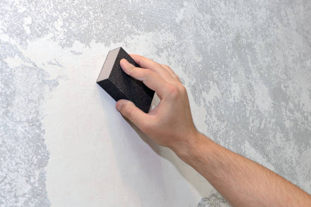 Trusted Greenbelt, MD Mold Removal Experts