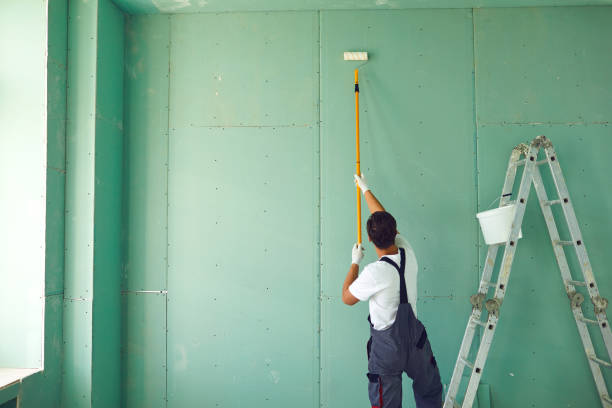  Greenbelt, MD Mold Removal Pros