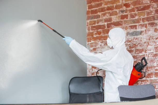 Best Asbestos and Lead Testing During Mold Inspection  in Greenbelt, MD