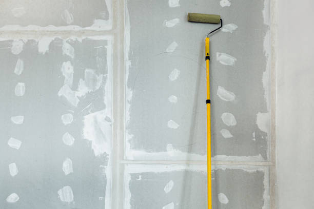 Best Forensic Mold Investigation  in Greenbelt, MD