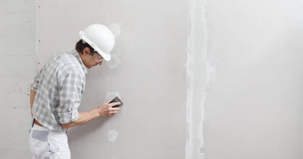 Best Biohazard Mold Removal  in Greenbelt, MD