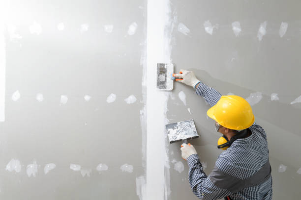 Mold Remediation for Vacation Homes in Greenbelt, MD
