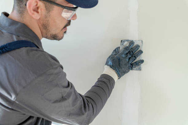 Best Industrial Mold Remediation  in Greenbelt, MD